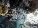 2011-09-12 01-33-35 Steven